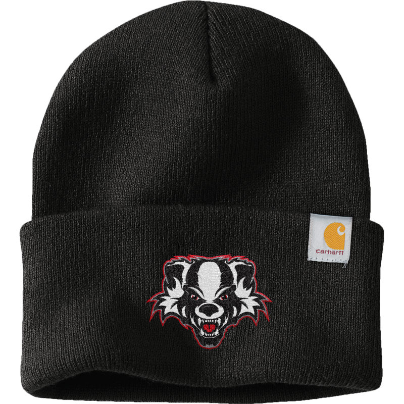 Scary Badgers Carhartt Watch Cap 2.0