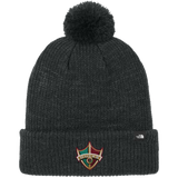 Delaware Ducks The North Face Pom Beanie