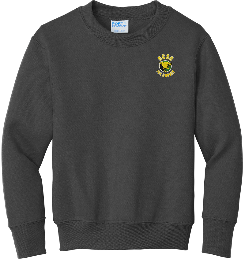 Chester County Youth Core Fleece Crewneck Sweatshirt